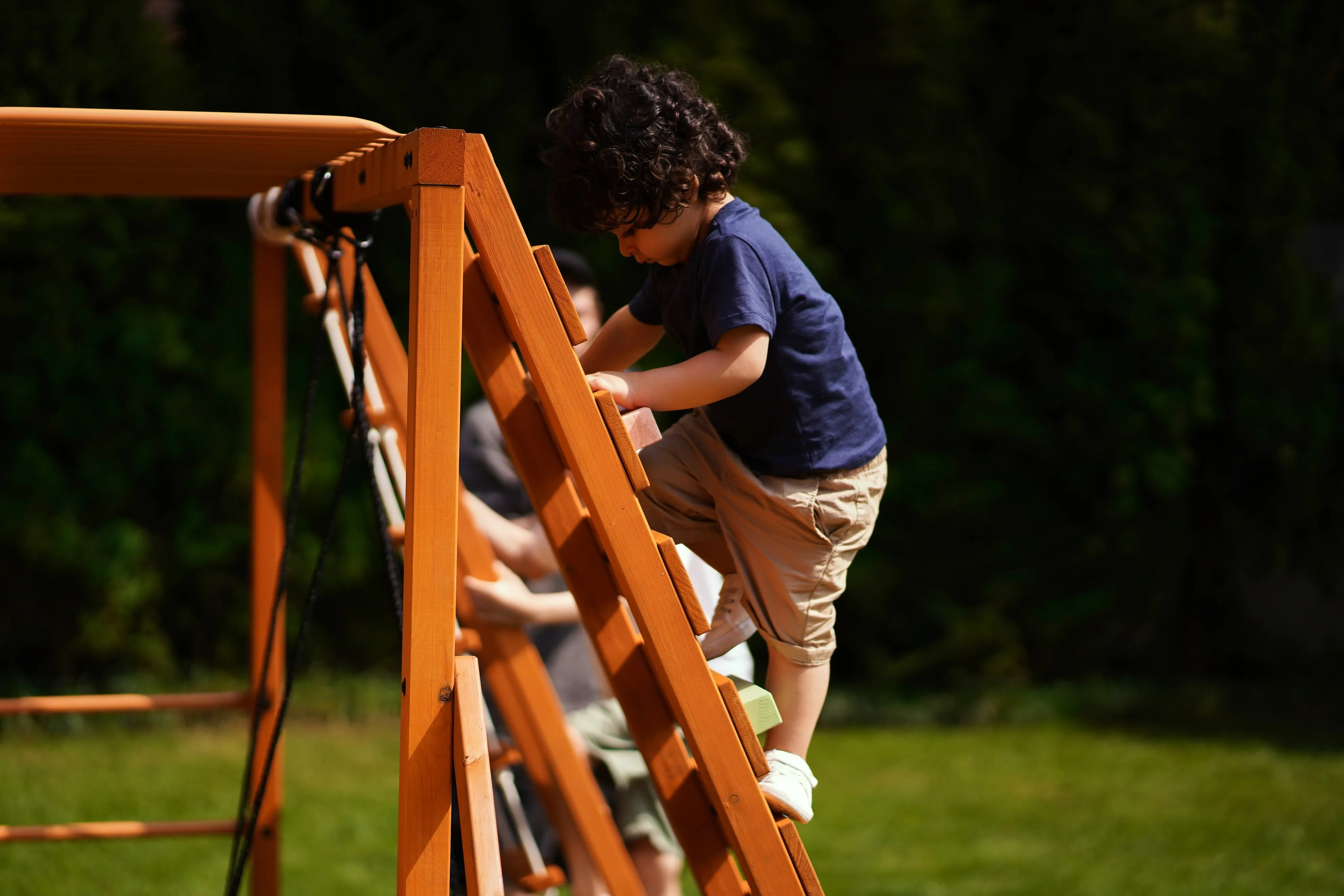 Avenlur Sycamore - Backyard Ultimate Climbing Set with 2 Swings And Trapeze Bar