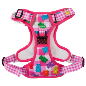 Big & Little Dogs Beary Sweet All Rounder Harness