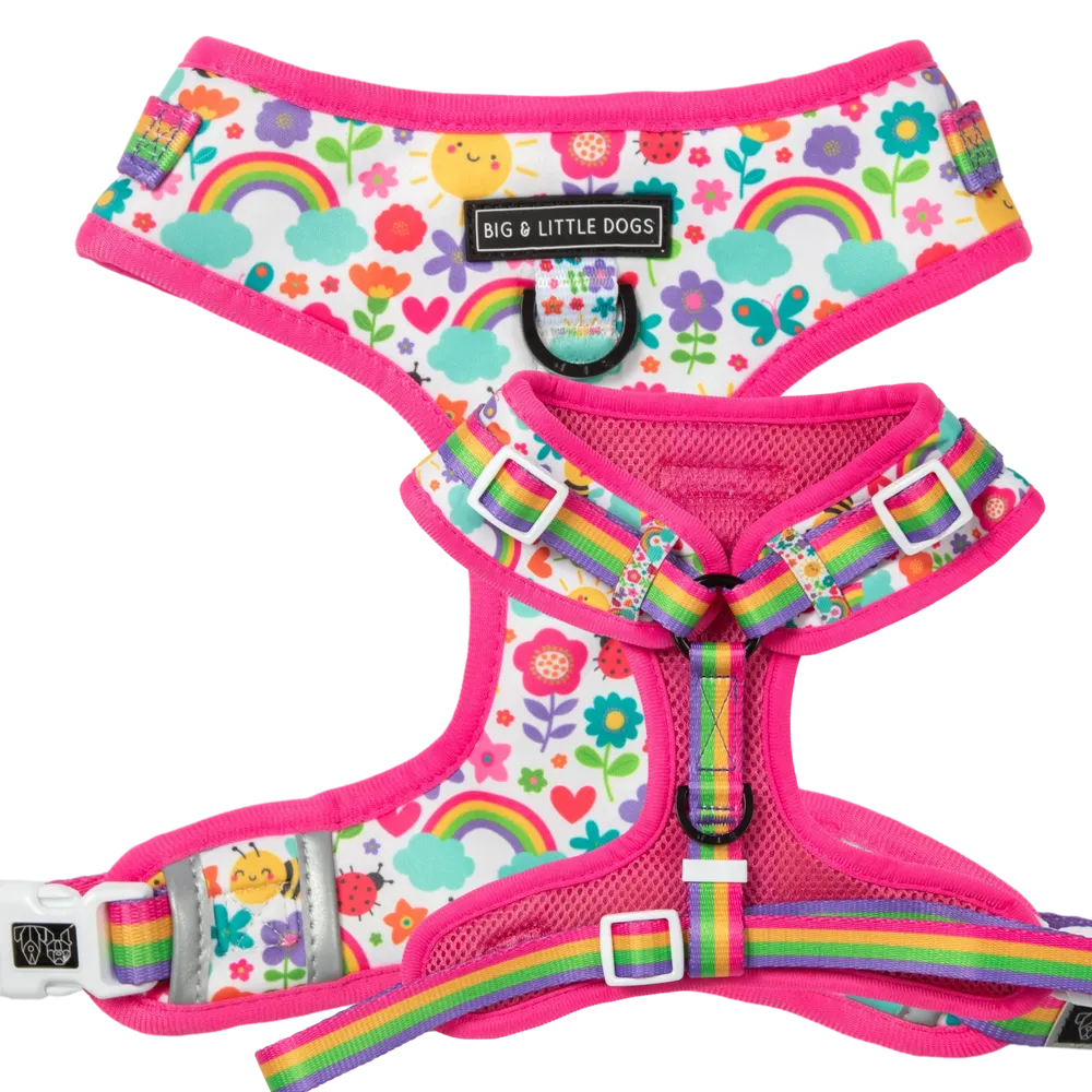 Big & Little Dogs Follow The Rainbow Adjustable Harness