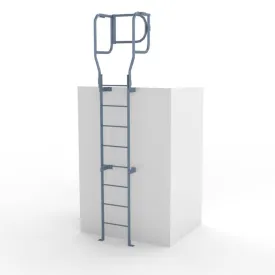 Steel Access Ladders