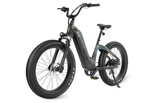 VELOWAVE Grace Step-Thru Ebike