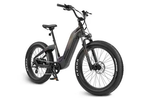 VELOWAVE Grace Step-Thru Ebike