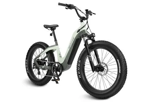 VELOWAVE Grace Step-Thru Ebike